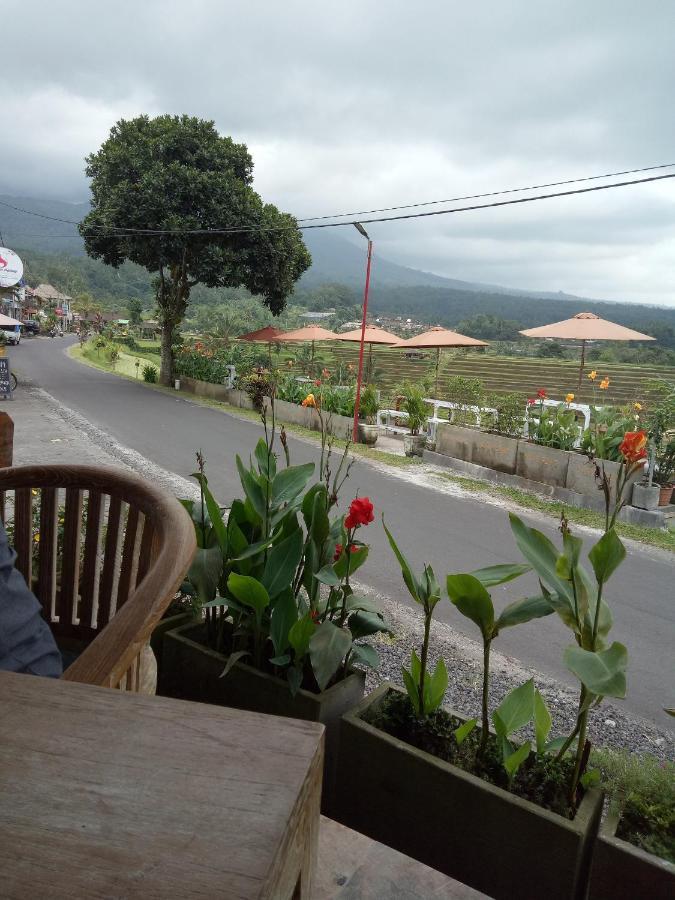 Babahan Farmstay Selemadeg Екстериор снимка