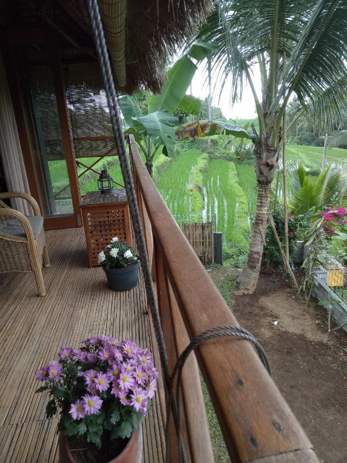 Babahan Farmstay Selemadeg Екстериор снимка