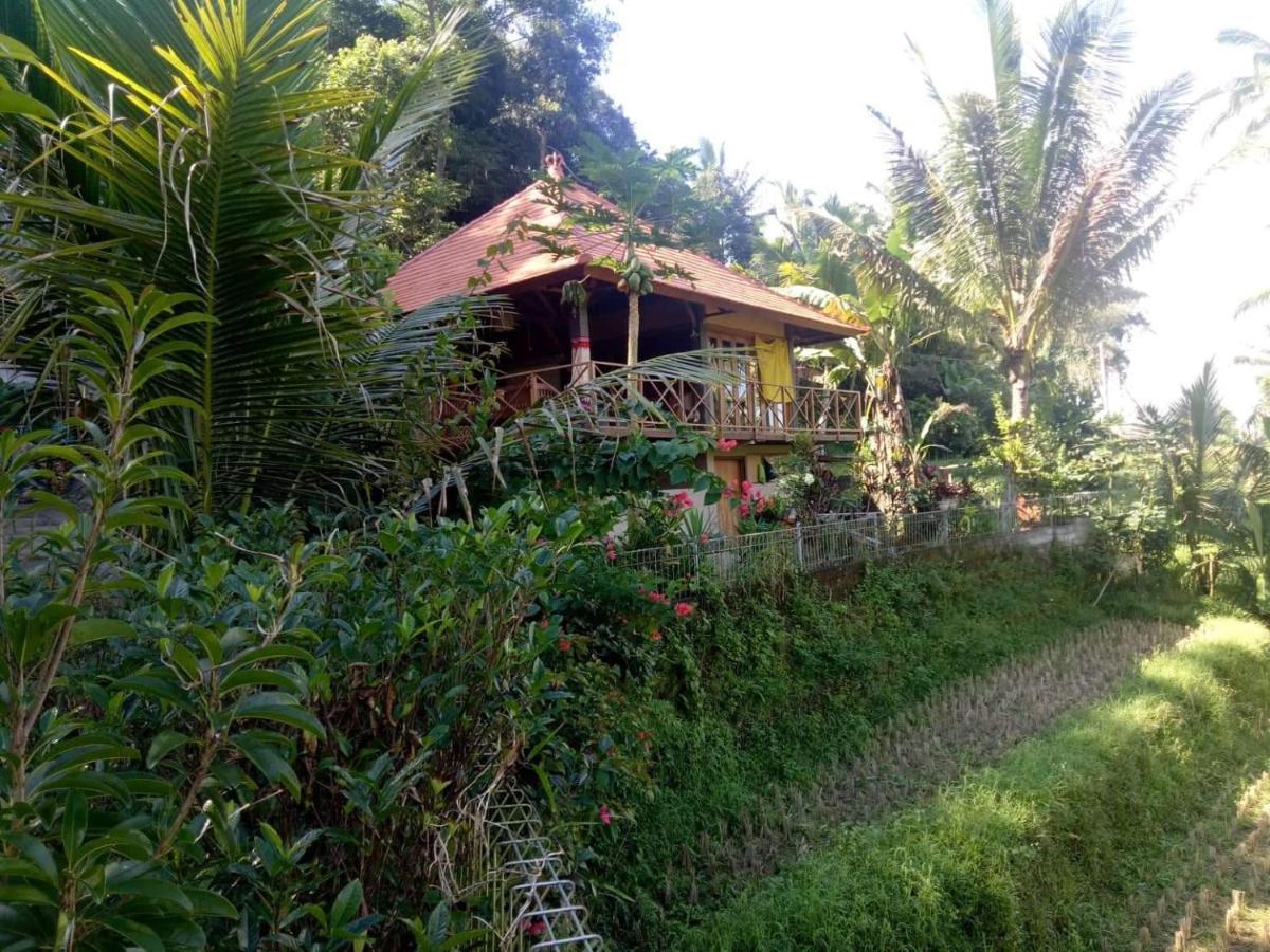 Babahan Farmstay Selemadeg Екстериор снимка